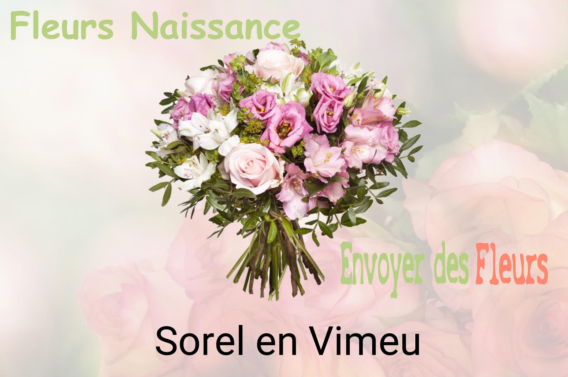 Bouquet de fleurs de naissance livré à Sorel-en-Vimeu